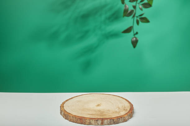 istock blank green background with light shadow nature for natural cosmetic product. Empty scene with green leaves.Organic natural and Beauty skincare concept. 1408951879