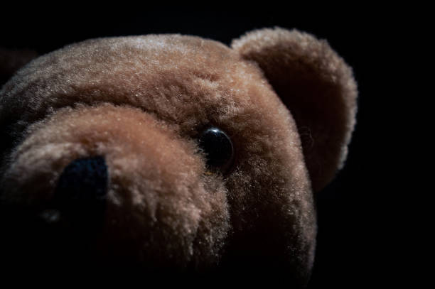 istock Close-up of a stuffed animals face 1408952688