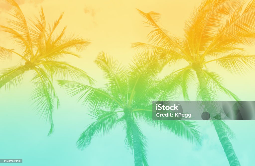 Tropical Palm Trees with vintage retro tones. Tropical Palm Trees with vintage retro tones. Beach Vibe background Backgrounds Stock Photo