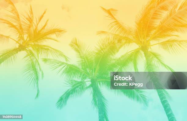 Tropical Palm Trees With Vintage Retro Tones Stock Photo - Download Image Now - Backgrounds, Tropical Climate, Tropical Pattern