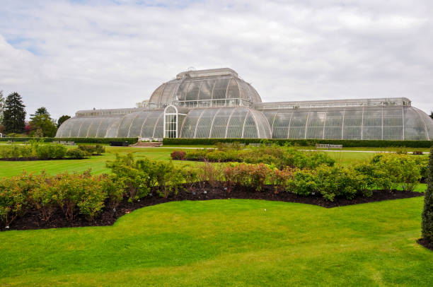 Greenhouse in Kew botanical gardens, London, UKGreenhouse in Kew botanical gardens, London, UK London, UK - April 2018: Greenhouse in Kew botanical gardens kew gardens spring stock pictures, royalty-free photos & images