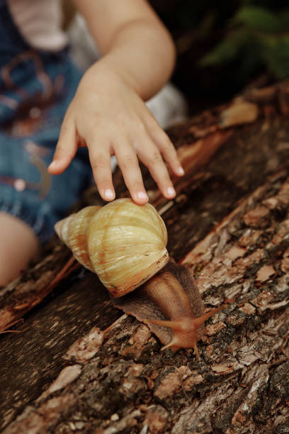 istock Girl petting a big snail on a tree 1408958352
