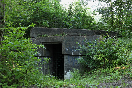 Old concrete bunker in the forest from period of world war two