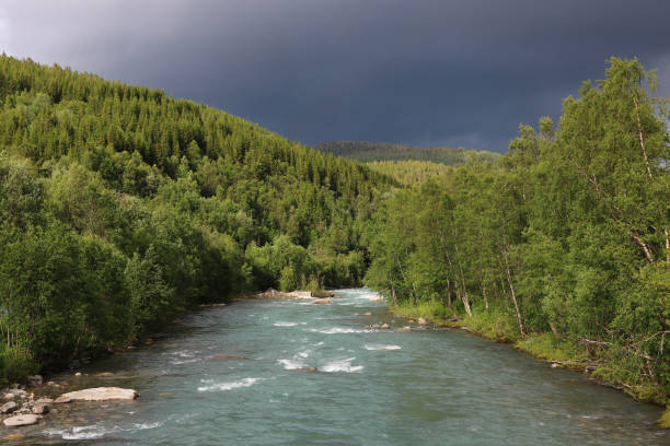 Beautiful river picture in scandinavian with forest and mountain in background. stock photo