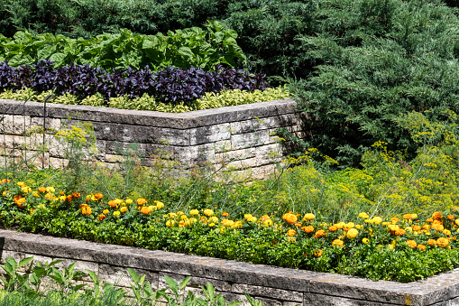 Vegetables and flowers growing in a multi-level garden