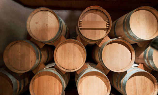 istock wine barrels in a cellar background in Valle el Elqui 1408969857