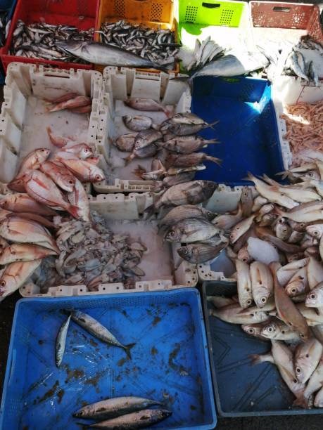 istock Lot of fishing 1408978152