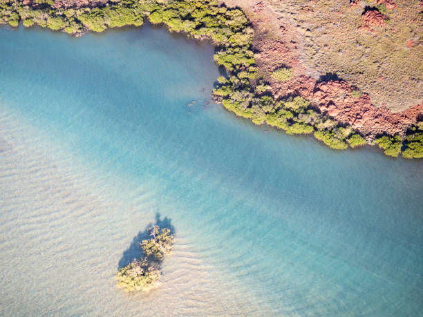 istock Aerial view of beach and rocks 1408979855
