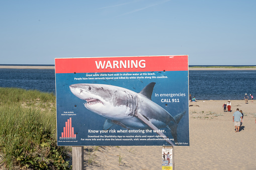 Chatham, Massachusetts, July 9, 2022: A Great White Shark warning sign on the Chatham Lighthouse beach which is a swim-at-your-own-risk beach and does not have lifeguards.