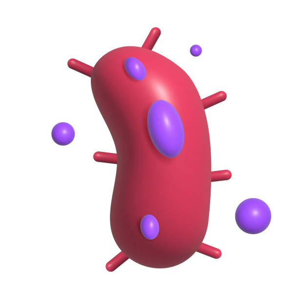 11,400+ Bacterial Spore Stock Photos, Pictures & Royalty-Free