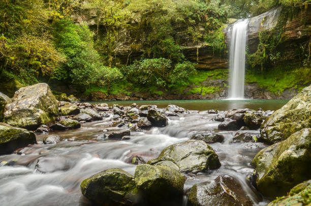 beautiful view of garapia cascade in maquine, rio grande do sul, brazil - green woods forest southern brazil imagens e fotografias de stock