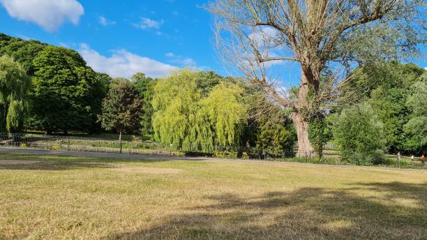 istock Beautiful Public Park View at Luton England UK 1408988917