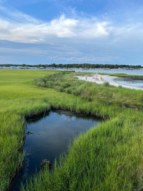 istock Summer scenery at Indian River Bay 1408997106
