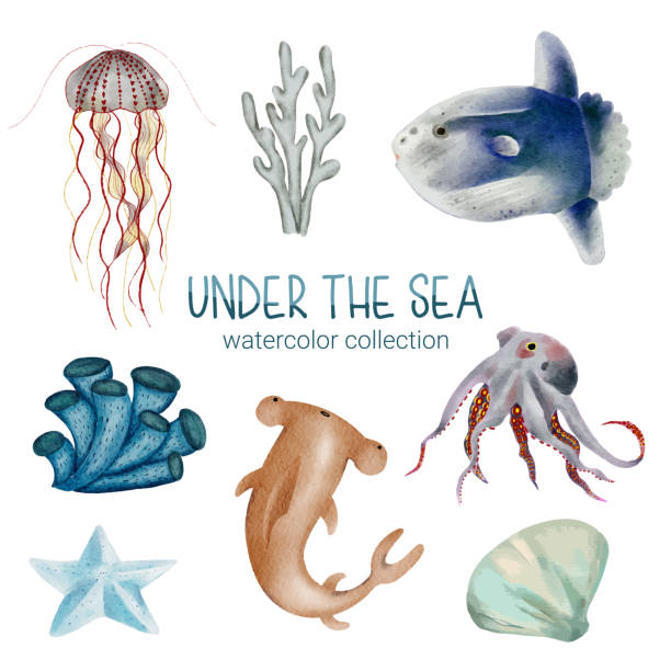 istock Marine Life Cute element Animal Life in under sea. Underwater animal creature and fish 1409001762