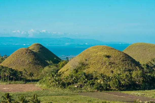 Photo of A cluster of the famed Chocolate Hills as seen from Sagbayan Peak. A popular tourist spot in Bohol, Philippines.