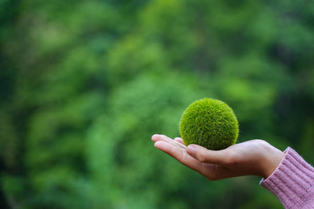 istock Net Zero and Carbon Neutral Concepts Net Zero Emissions Goals Weather neutral long-term strategy. 1409011252