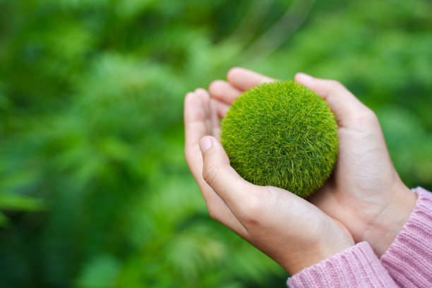 istock Net Zero and Carbon Neutral Concepts Net Zero Emissions Goals Weather neutral long-term strategy. 1409011847