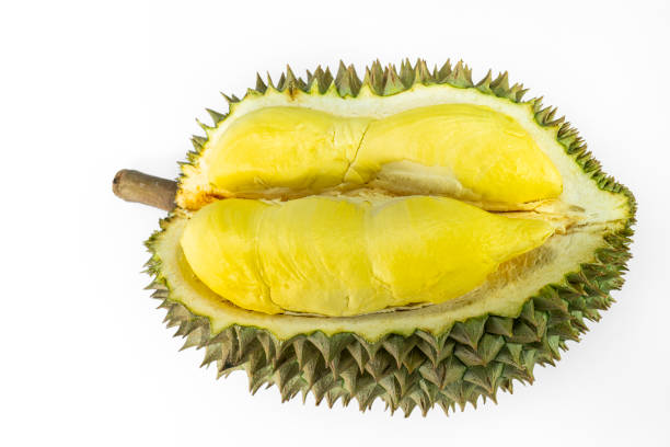 istock A durian, tropical fruit that has a strong smell on white background 1409018910