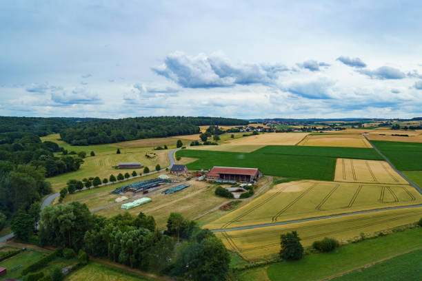 istock Landscape in Germany in summer from above. Top view. Nature, forests, fields. 1409020444