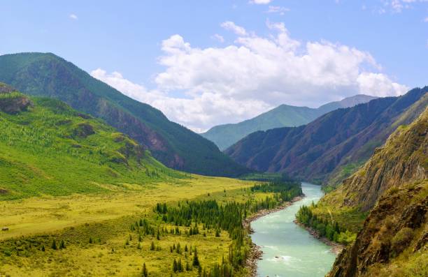 Katun river in Altay mountains Katun river in Altay mountains altay state nature reserve stock pictures, royalty-free photos & images