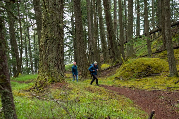 istock Couple hiking in a lush green forest 1409023621