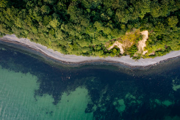 istock Unspoilt Coastline in Denmark 1409026703