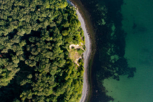 istock Unspoilt Coastline in Denmark 1409026717