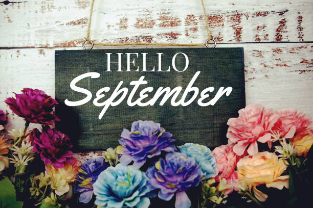 istock Hello September typography text decorate with flower on wooden background 1409028718