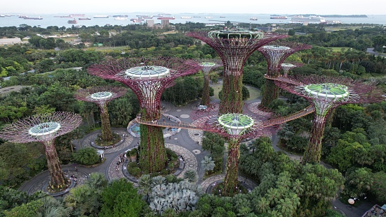 Marina Bay, Singapore - July 13, 2022: The Supertree Grove at the gardens of the bay during night time aerial shot