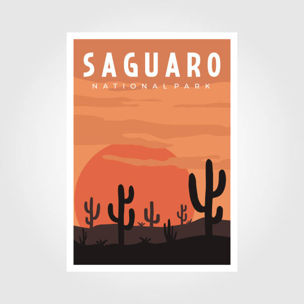 plakat retro parku narodowego saguaro, ilustracja wektorowa - sonoran desert illustrations stock illustrations