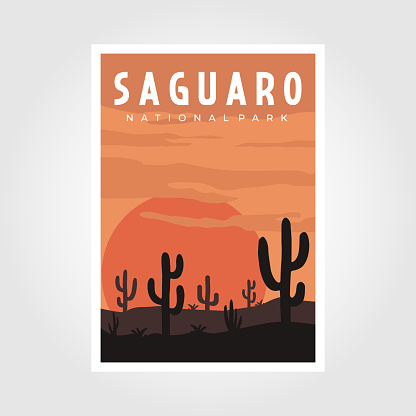 saguaro national park retro poster, vector illustration