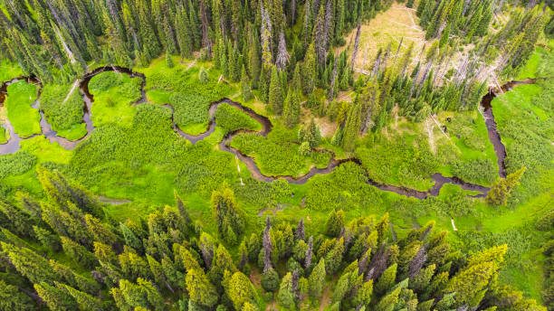 kręta rzeka w dzikiej montanie - idaho beautiful western usa usa zdjęcia i obrazy z banku zdjęć