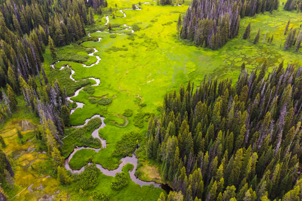 istock Winding River in Wild Montana 1409031425