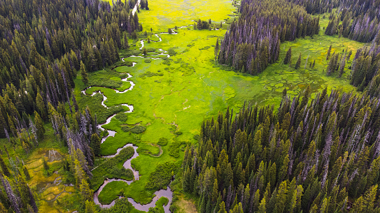 Winding river after rain in wild Montana, United States