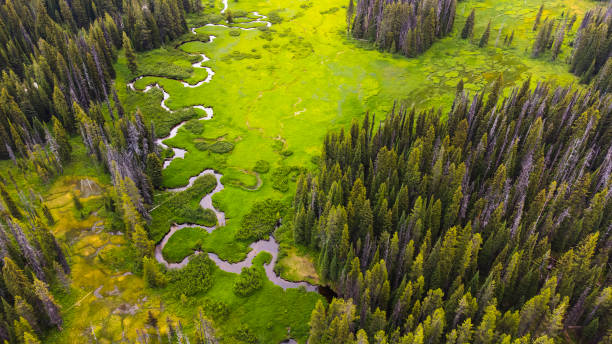 istock Winding River in Wild Montana 1409031442