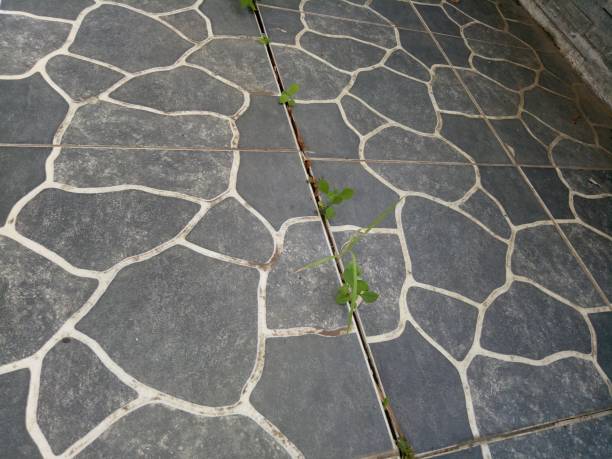 istock ceramic floor with river stone texture in black with white lines 1409034131