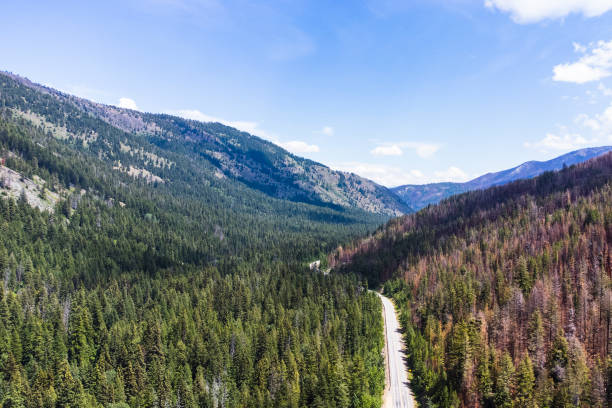 ノースカスケード、ワシントン - north cascades national park aerial view washington state usa ストックフォトと画像