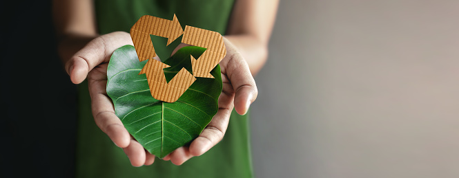 Green Energy, ESG, Renewable and Sustainable Resources. Environmental and Ecology Care Concepts. Close up of Hand holding Recycling Icon and a Green Leaf