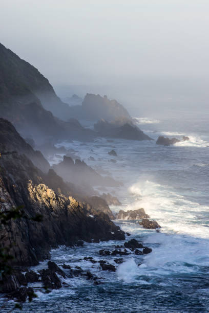 istock Were the mountains reach the ocean 1409037916