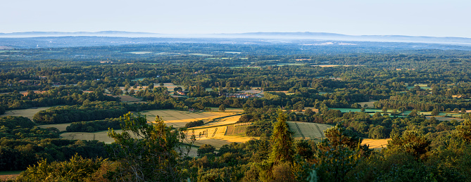 View south west from the top of Leith Hill on the Surrey Hills just after July sunrise south east England
