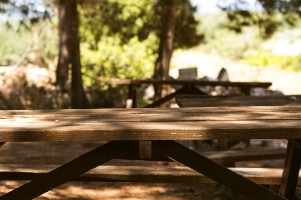 istock Wooden picnic table in nature. 1409043933