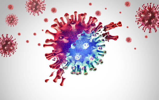 Variant Outbreak Subvariant Virus Spreading as viral pathogens Mutating variants and mutation as a transmissible health risk concept and new COVID-19 outbreak or coronavirus mutations and influenza background as a 3D render. long covid stock pictures, royalty-free photos & images