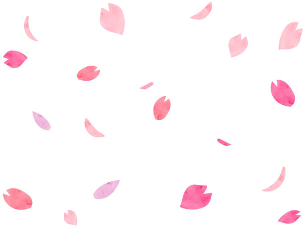 水彩画風のひらひらと舞う桜の花びら - 桜吹雪点のイラスト素材／クリップアート素材／マンガ素材／アイコン素材