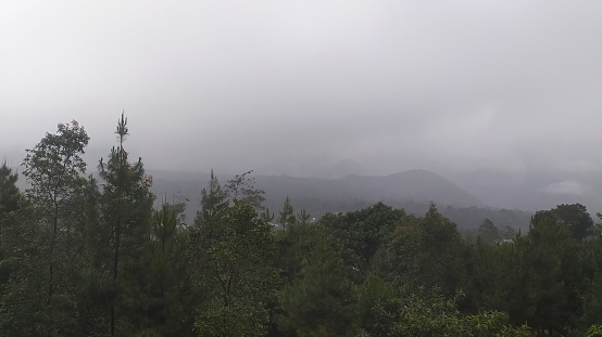 Mountain ranges and trees affected by thick fog at the location of the Pemalang Rancah Park July 16, 2022 at 3 pm