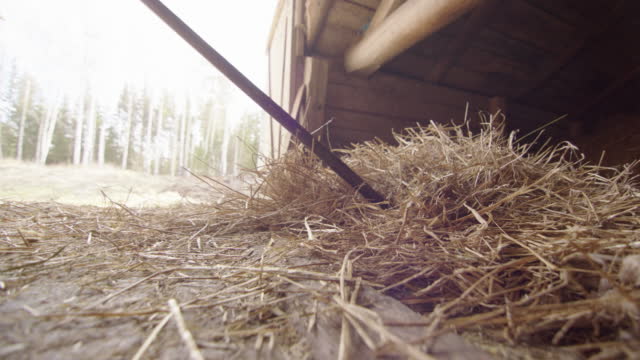 SLOW MOTION CLOSEUP - the farmer moves hay across the floor