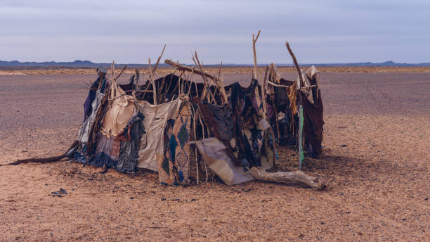 istock CATTLE GUARD IN A NOMAD SETTLE IN THE DESERT 1409058480