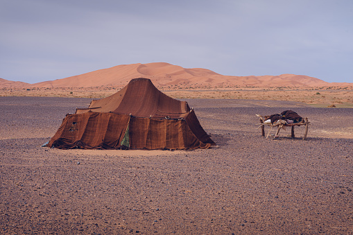 NOMAD TENT IN THE DESERT OF MERZOUGA, MOROCCO