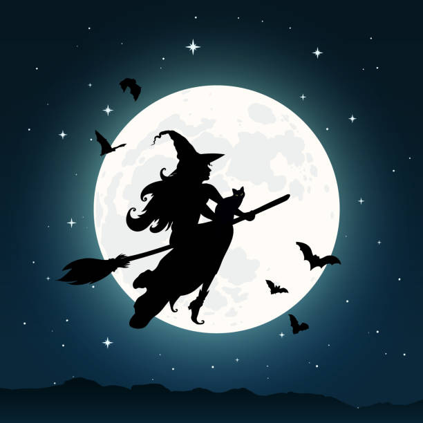 Witch flying on a broom on full moon background Silhouette of a beautiful witch flying on a broom against full moon light, wizard with cat, wizard with bats. Halloween background, fantasy and magic. Vector illustration halloween moon stock illustrations