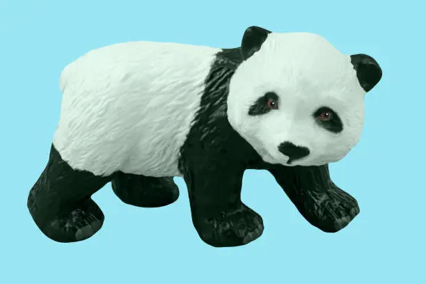 Panda toy on blue background