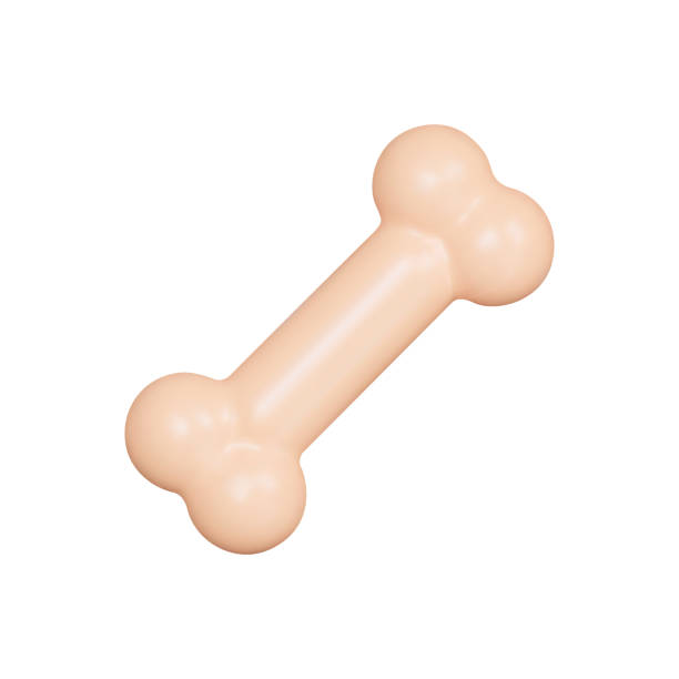 ikona kości 3d, ilustracja wektorowa. izolowany obiekt na przezroczystym tle - kość stock illustrations